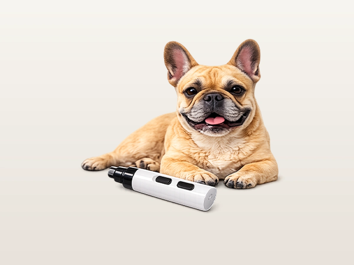 Switch On the <40 dB Grinder Near Your Pet With a Favorite Biscuit